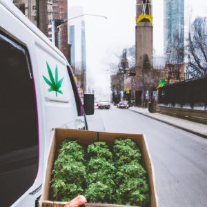 Greater Sudbury same-day weed delivery
