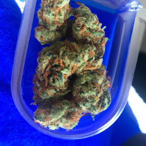 Winnipeg same-day weed delivery