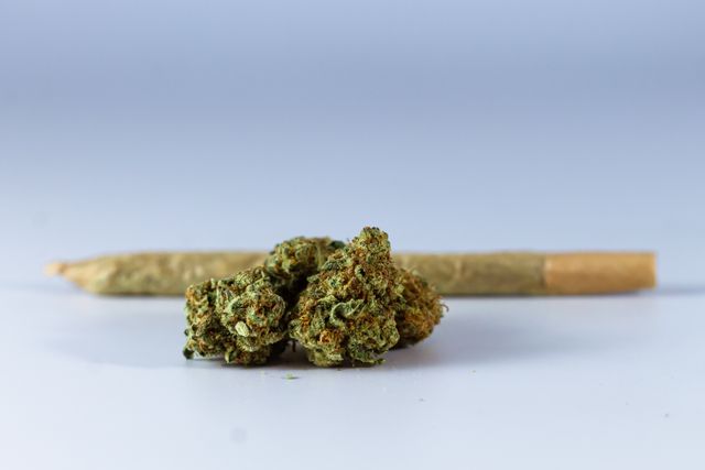 Lynn Dispensary Guide How to Navigate the North Shore's Busiest Cannabis Market